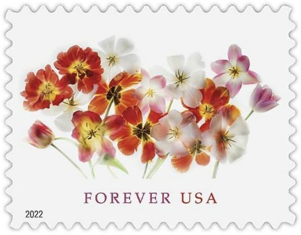 (2022) USPS Tulips Forever First Class Postage Stamps