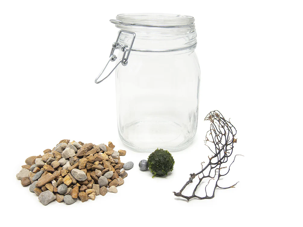 Aquatic Arts Desktop Terrarium