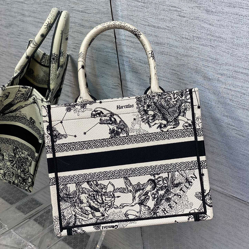 Small Dior Book Tote - Top Club