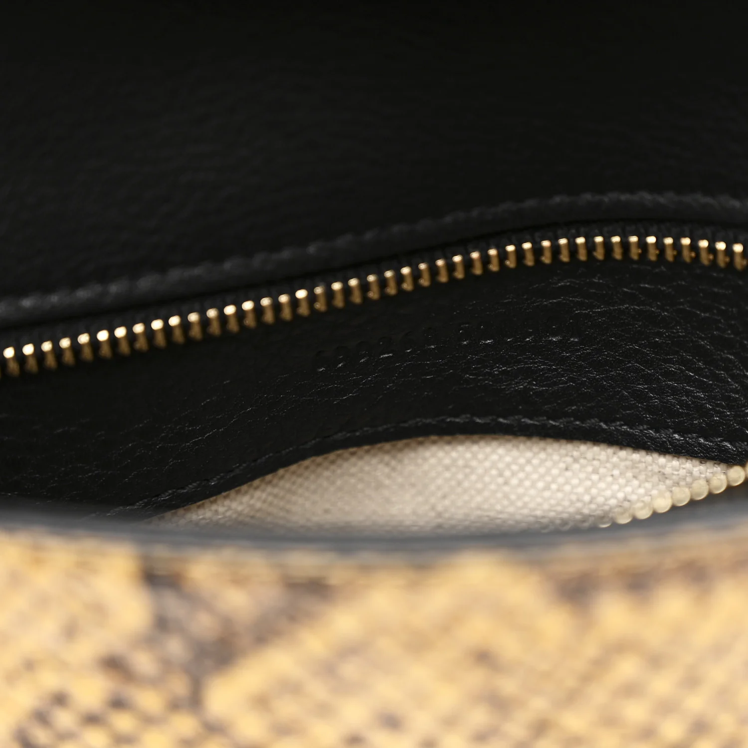 Roxy Snakeskin Blondie Chain Shoulder Flap Bag Roccia - Top Club