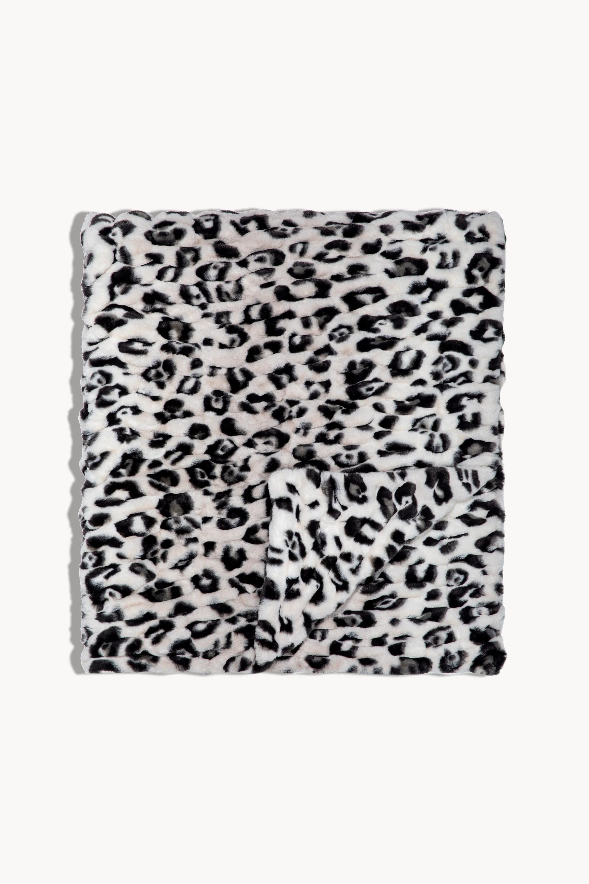 Snow Leopard