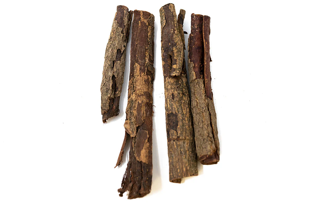Catappa Bark