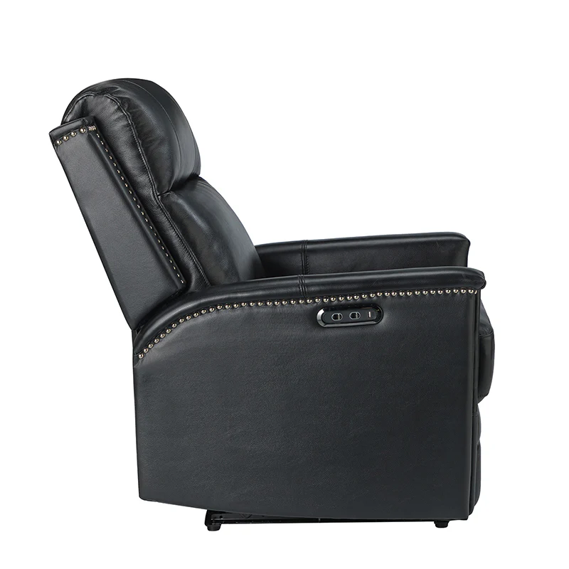 Ottfried Genuine Leather Power Recliner