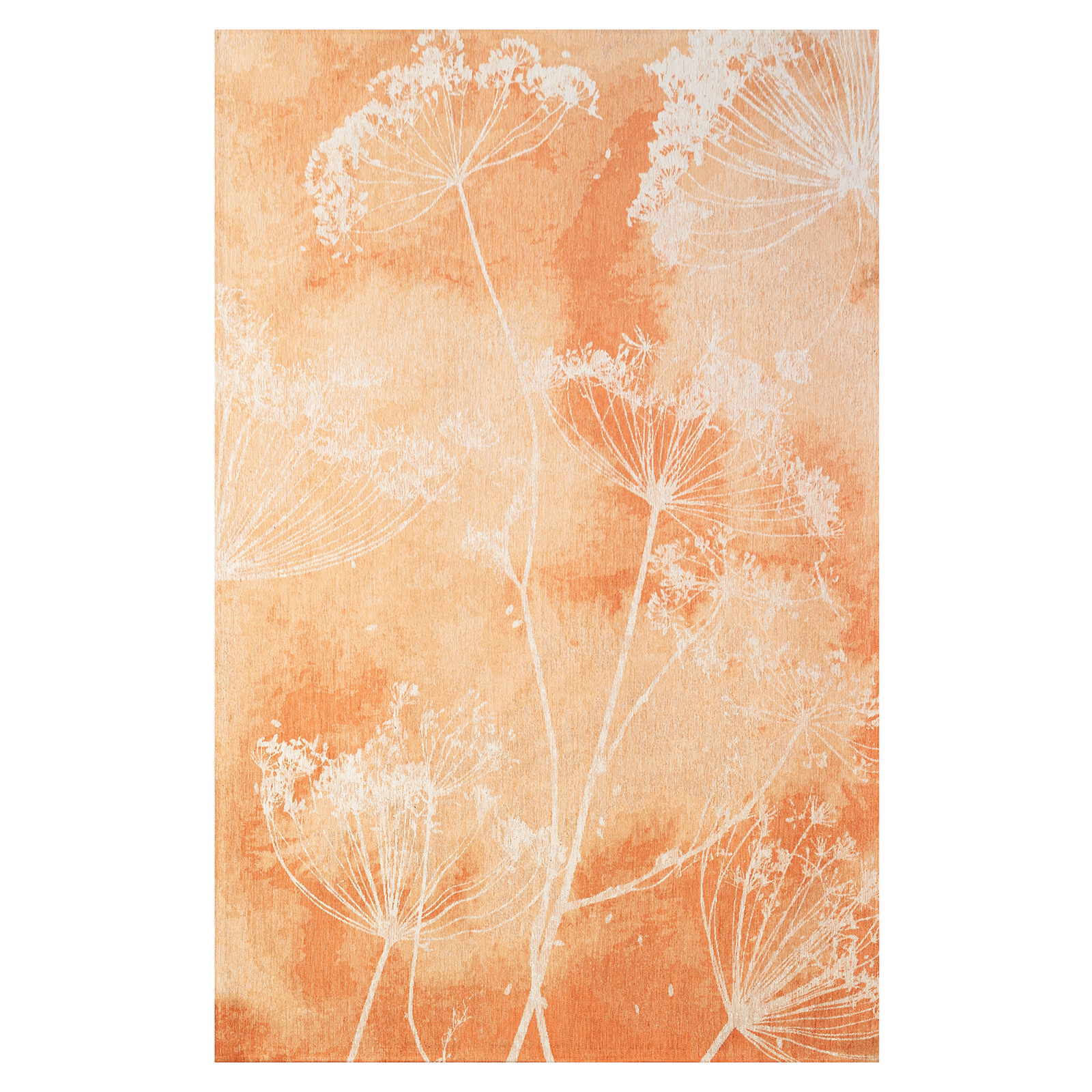 9605-ANISE-BUG-240x340cm