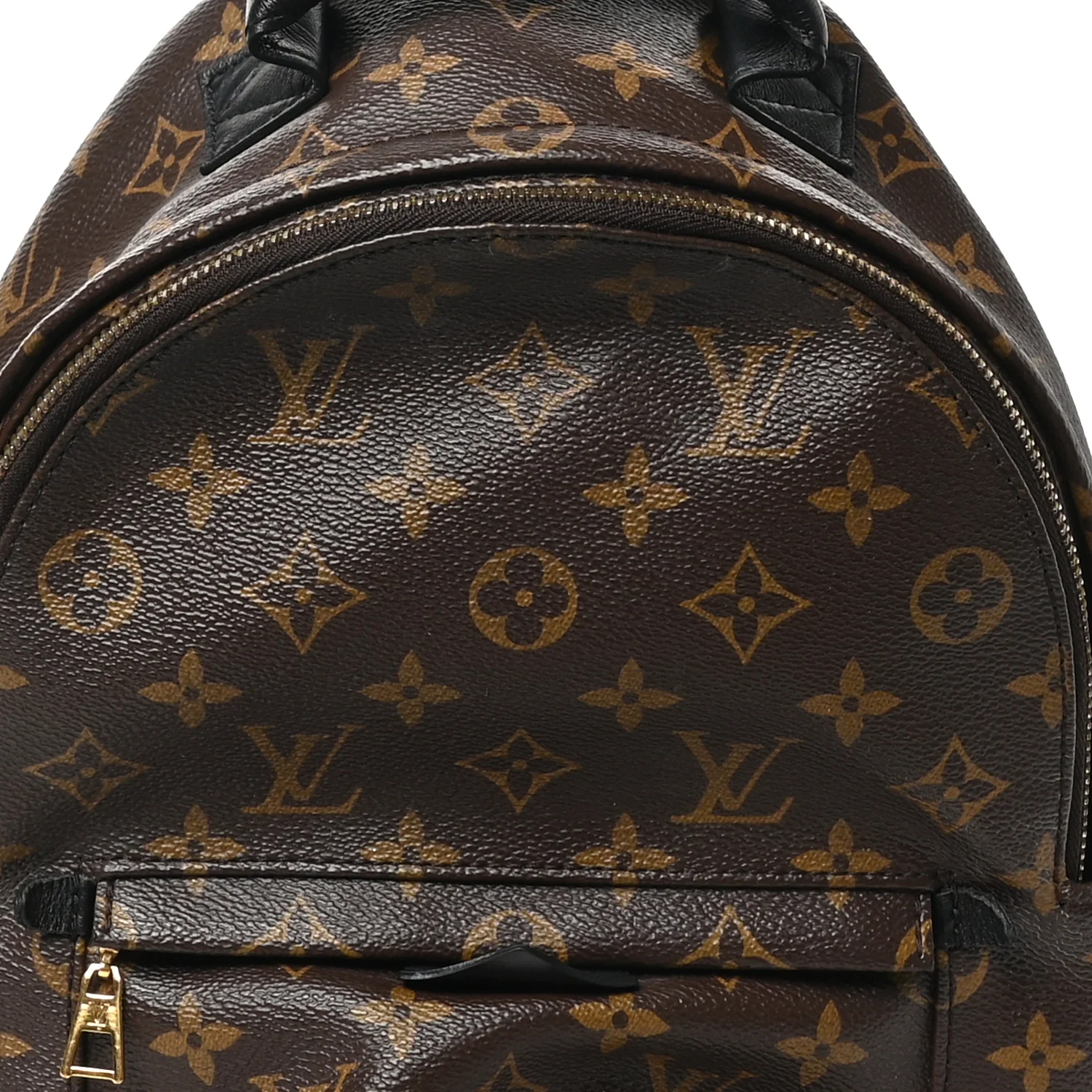Monogram Palm Springs Backpack PM - Top Club