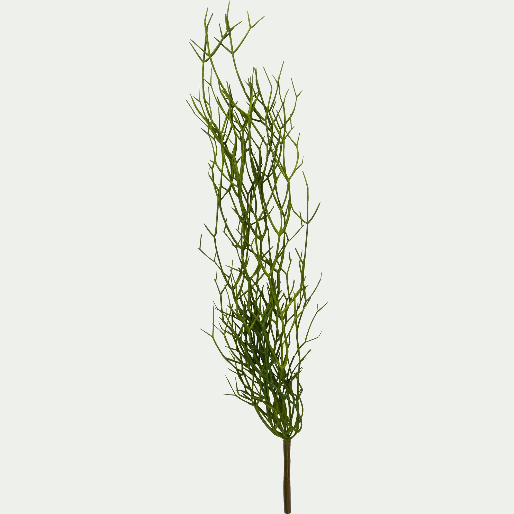 RHIPSALIS - Plante artificielle tombante - vert H60cm