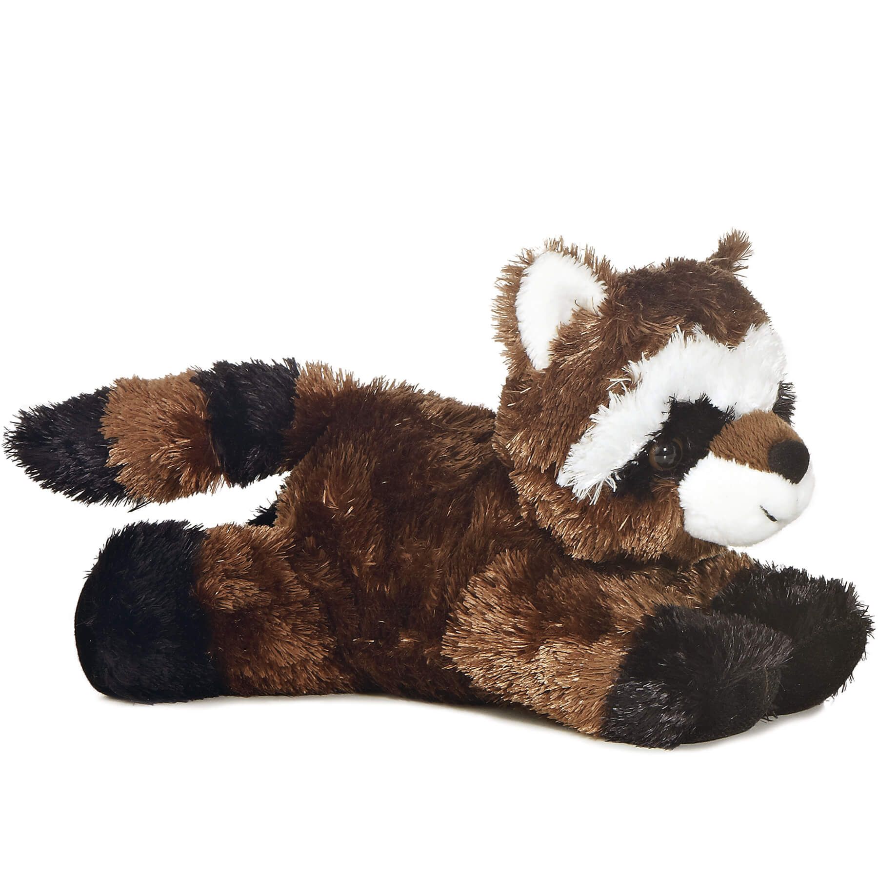 Ringo Raccoon 8