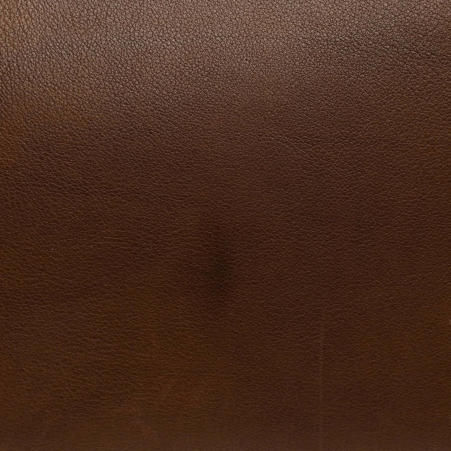 Polished Saddle Calfskin Marlo 14 Deep Brown - Top Club