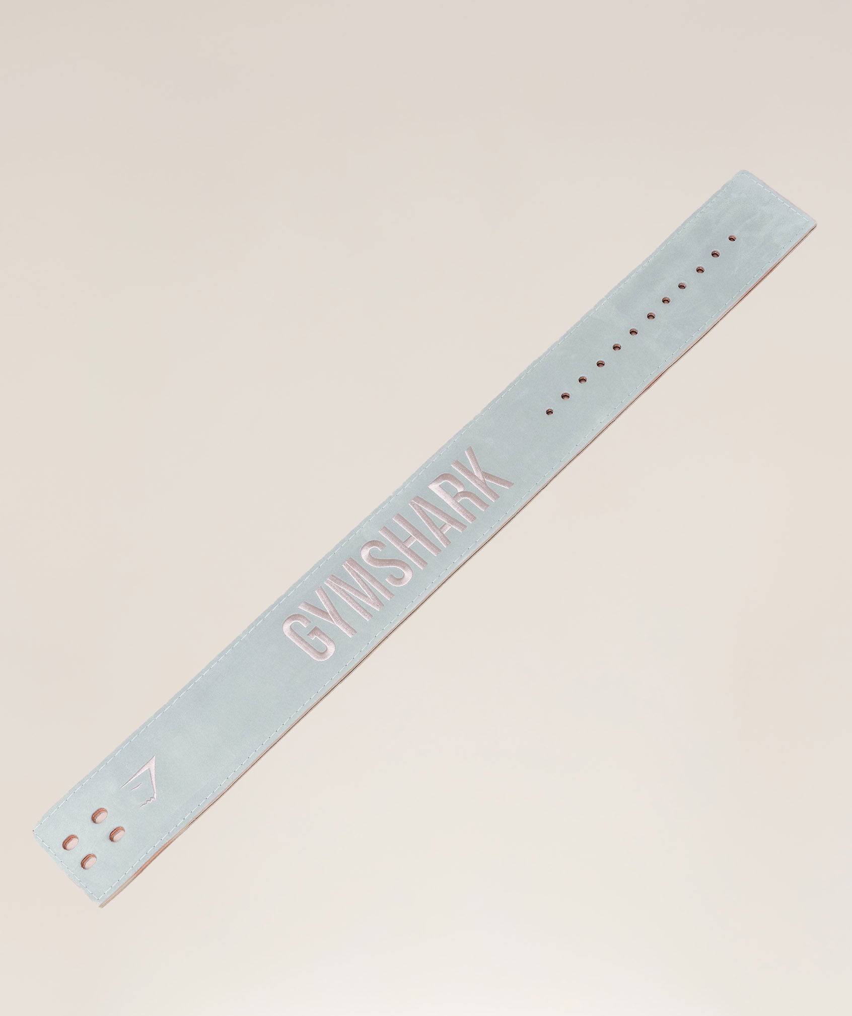 COACH Lever Lifting Belt