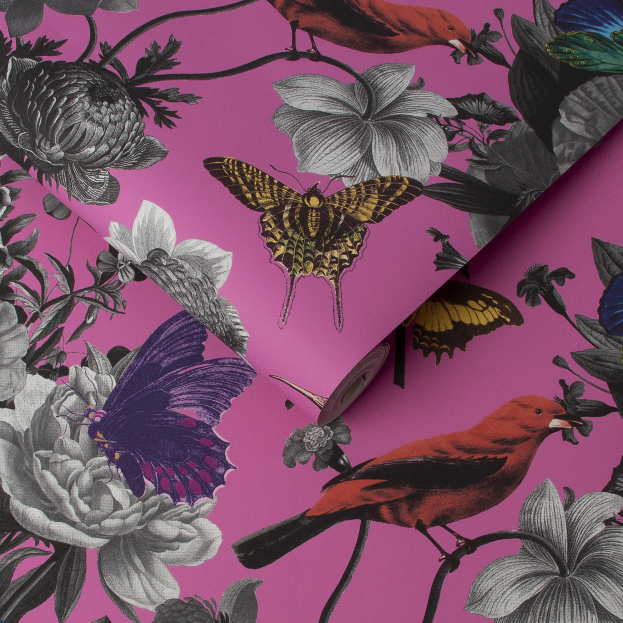 Graham & Brown  vliesbehang  Jardin Magenta Graham & Brown  vliesbehang  Jardin Magenta