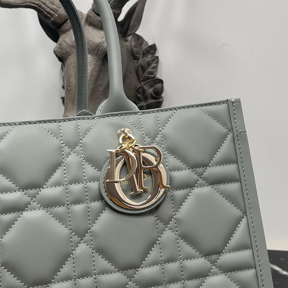 Dior Medium Dior Book Tote - Top Club