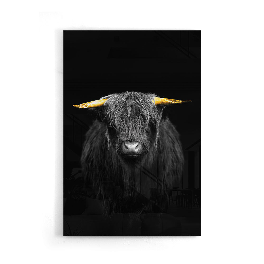 Walljar acrylglas schilderij - Gold Ox Horns Acrylglas schilderij - 150 x 225 cm