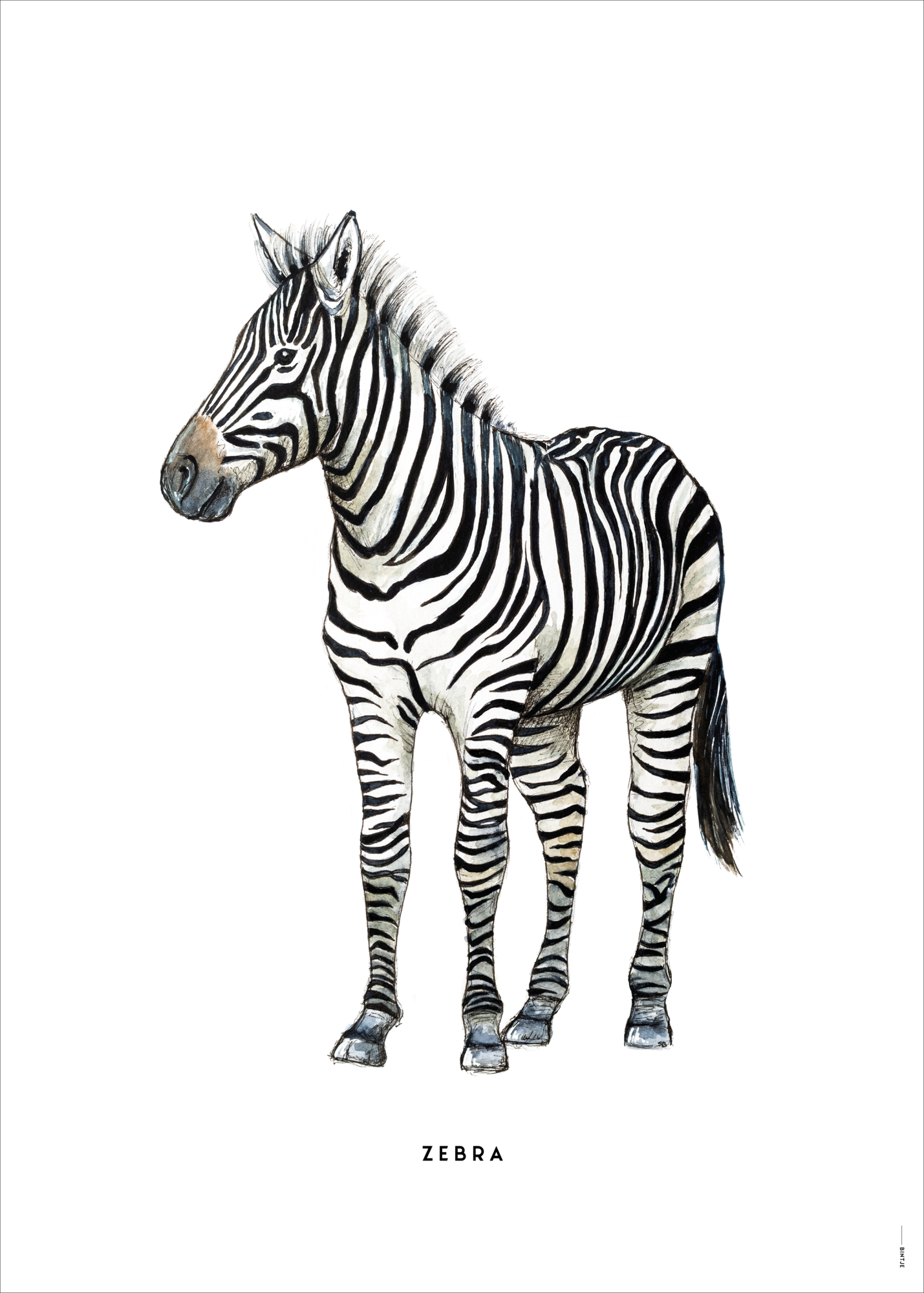 Poster Bintje Zebra