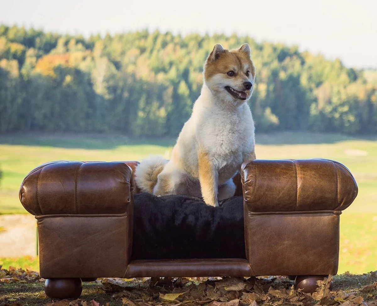 Luxury leather dog bed dark brown / black 109 x 89 x H. 37 cm - Rectangular genuine leather dog bed - Luxury genuine leather pet furniture