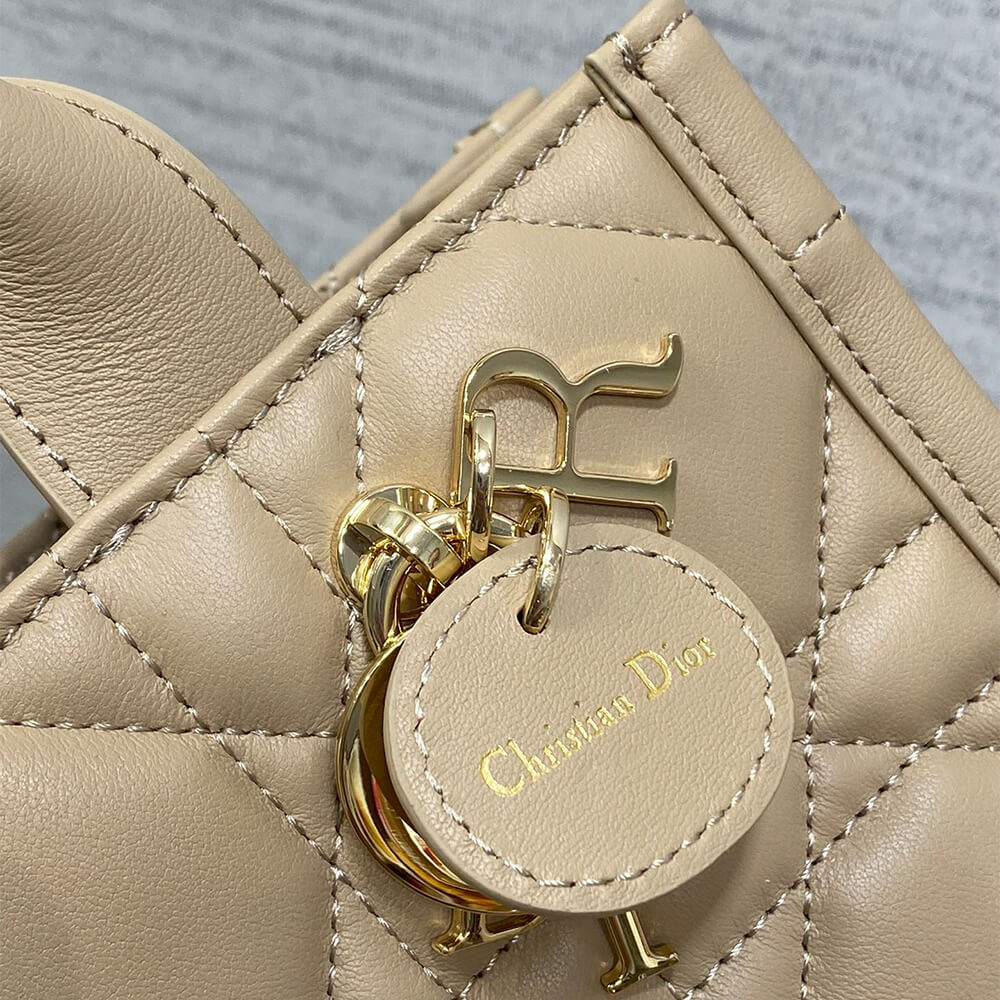 Mini Dior Book Tote - Top Club