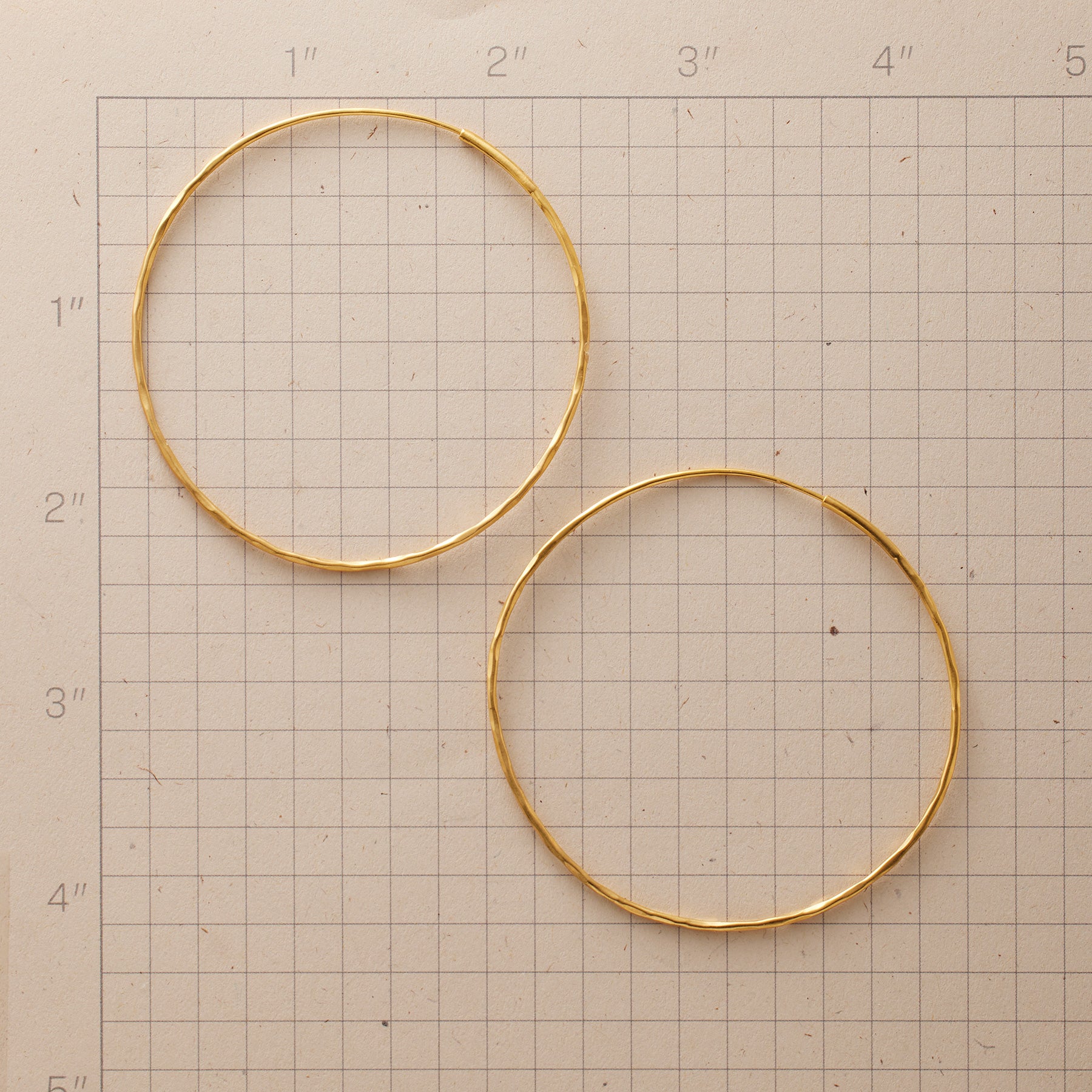 Endlessly Hoop Earrings - Sundance Living