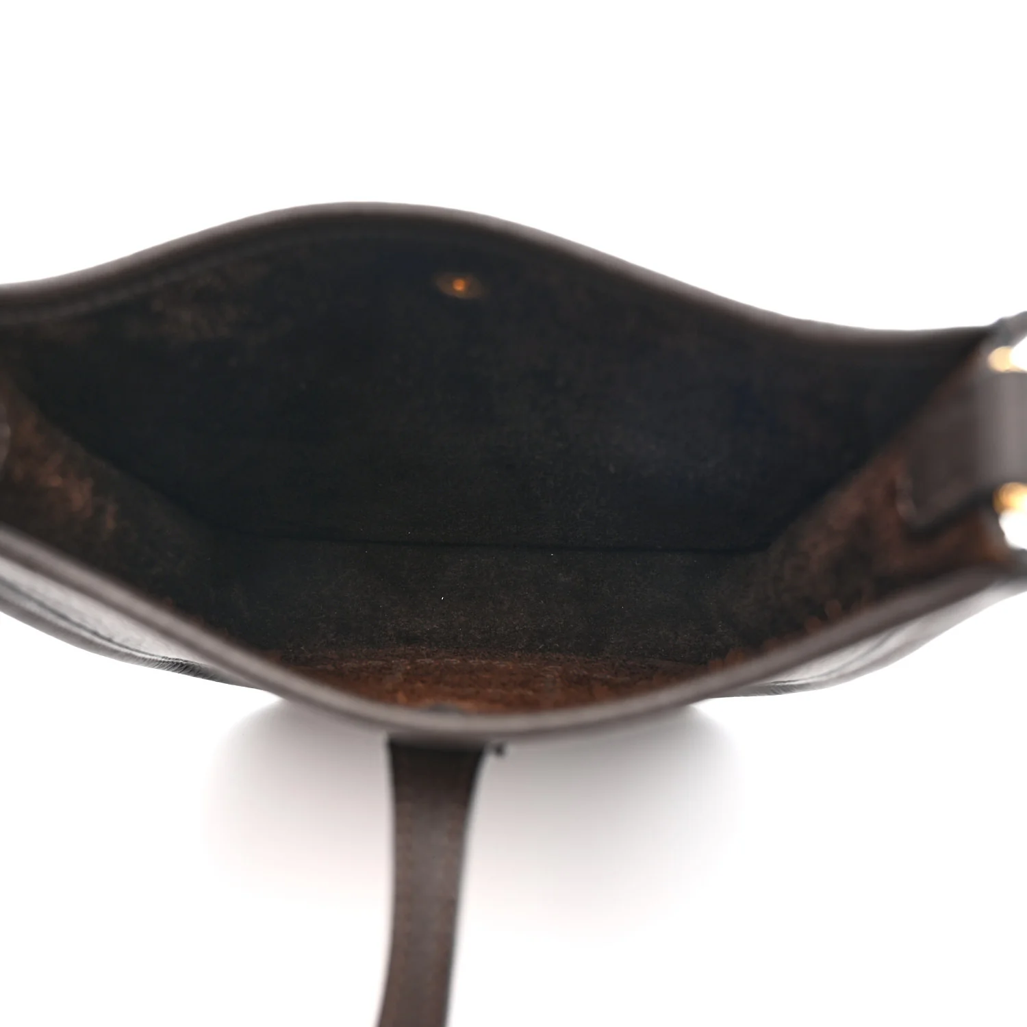 Taurillon Clemence Evelyne TPM Chocolate - Top Club