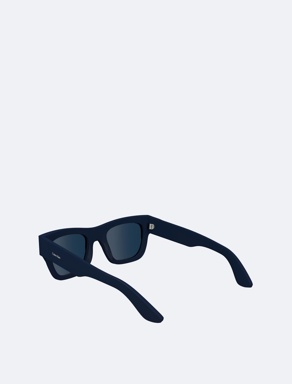 COACH Naturals Modified Rectangle Sunglasses