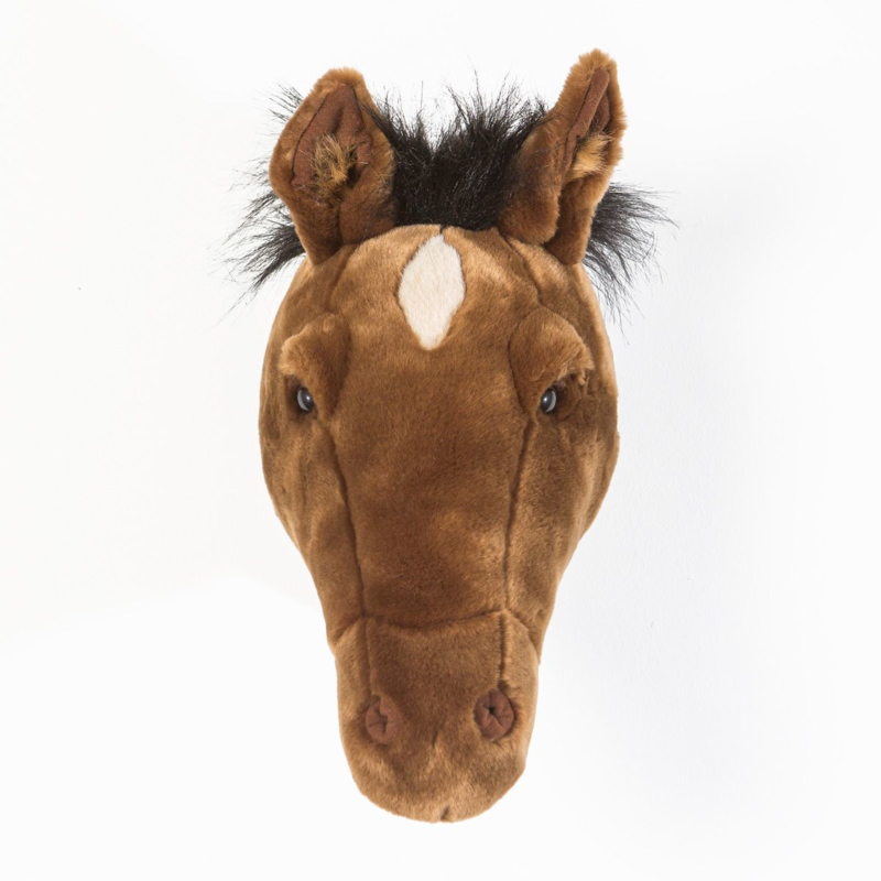 Dierenkop paard