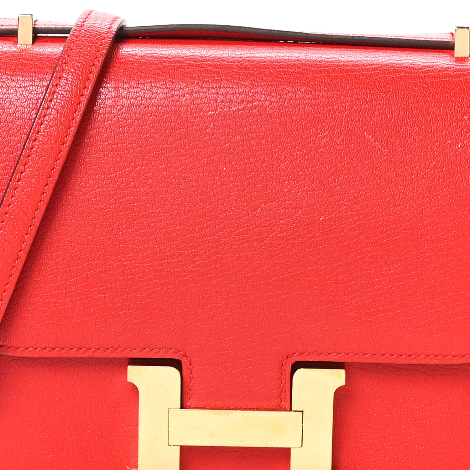 Chevre Mysore Constance 18 Rouge De Coeur - Top Club