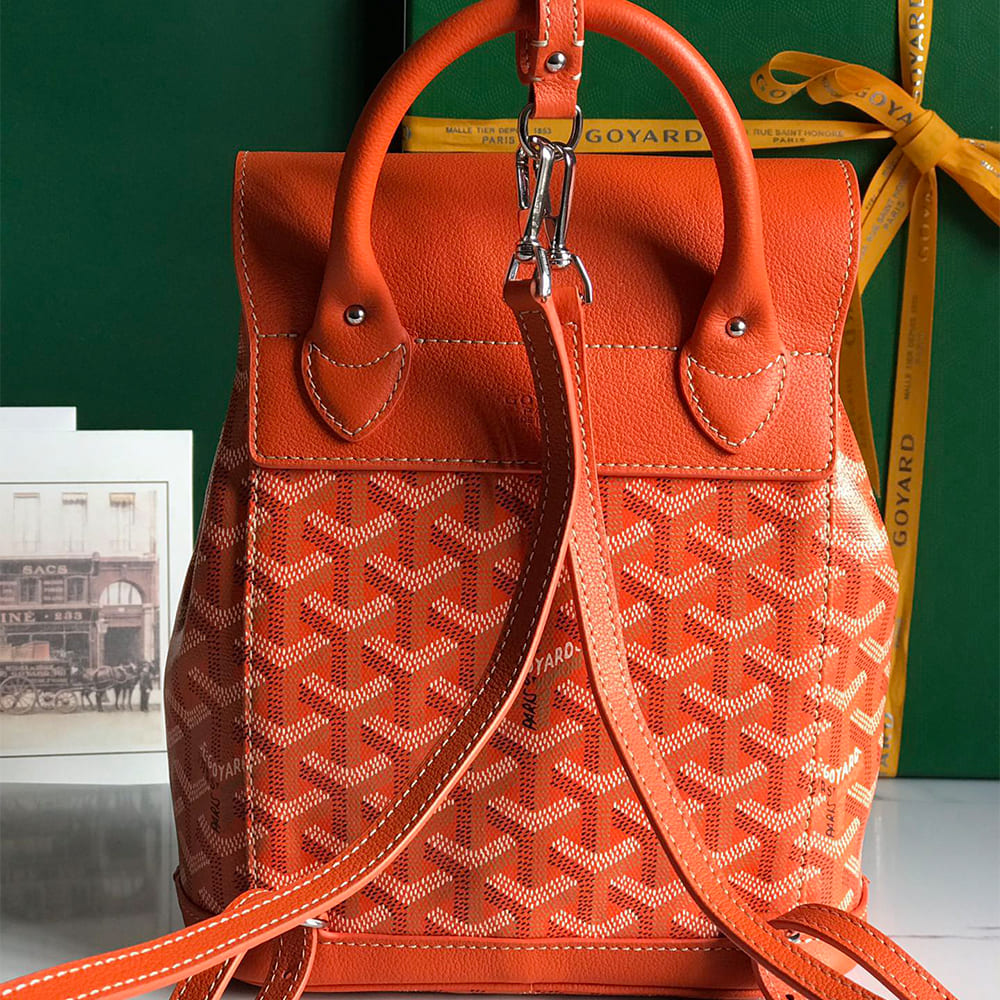 Goyard Alpin Mini Backpack - Top Club