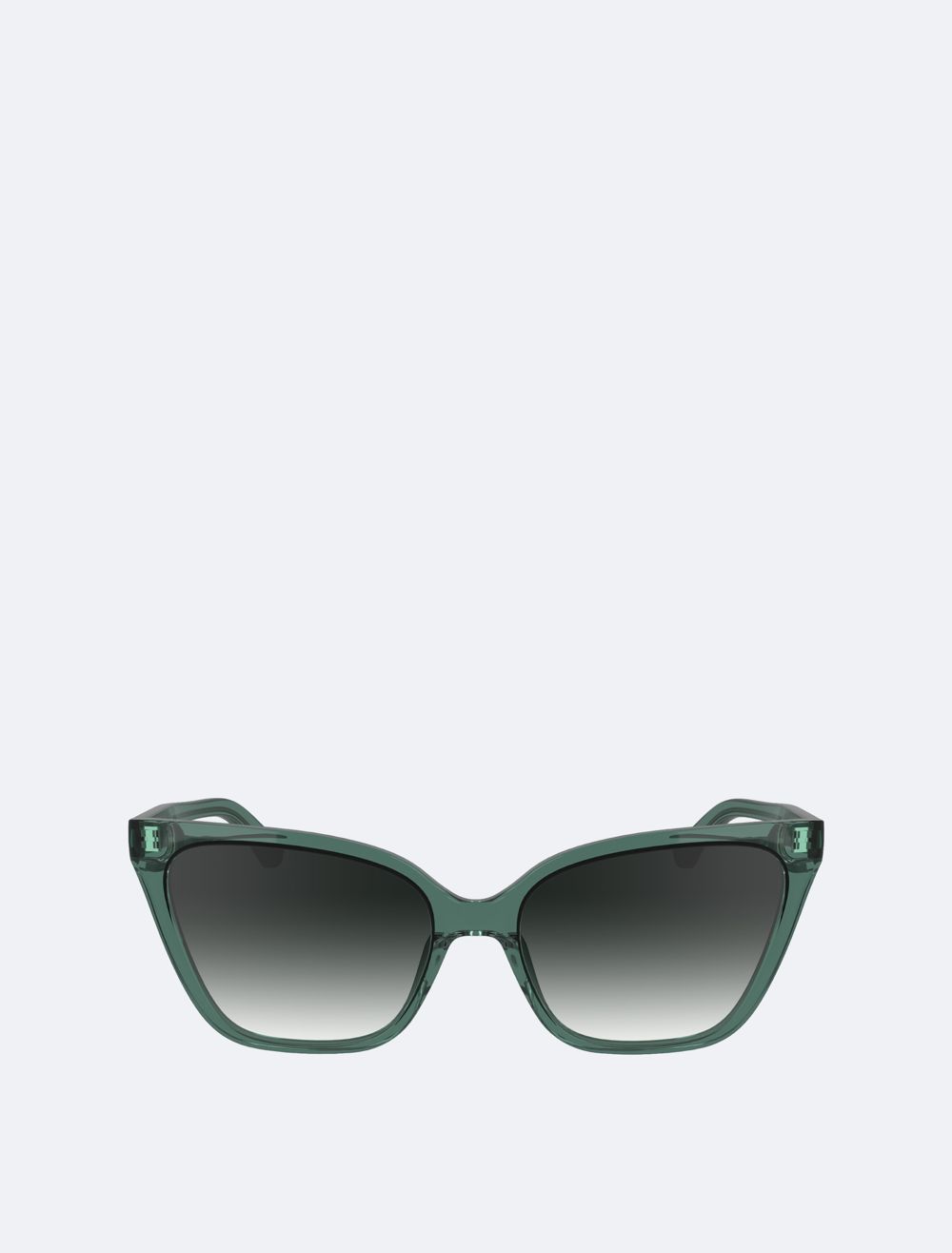 COACH Cat Eye Sunglasses