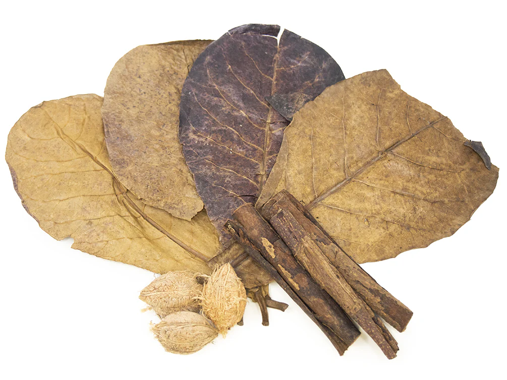 Catappa Tree Botanical Combo Pack