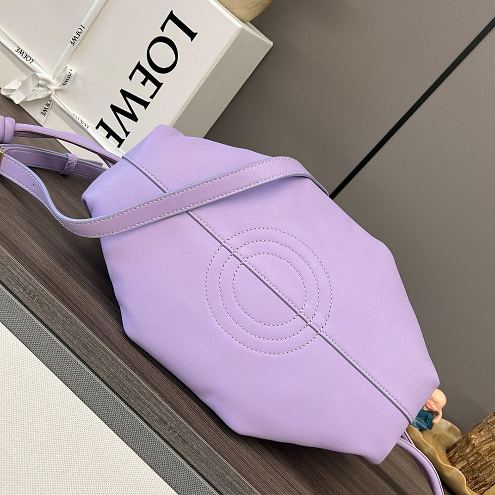 Loewe Small Paseo bag in shiny nappa calfskin(high-end grade) - Top Club