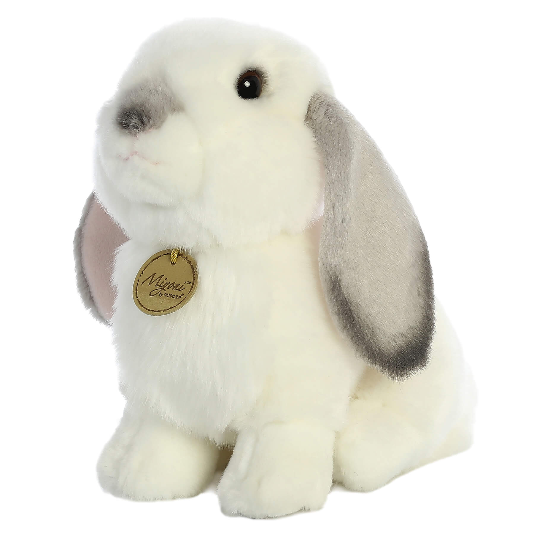 Lop Eared Rabbit With Grey Ears 11