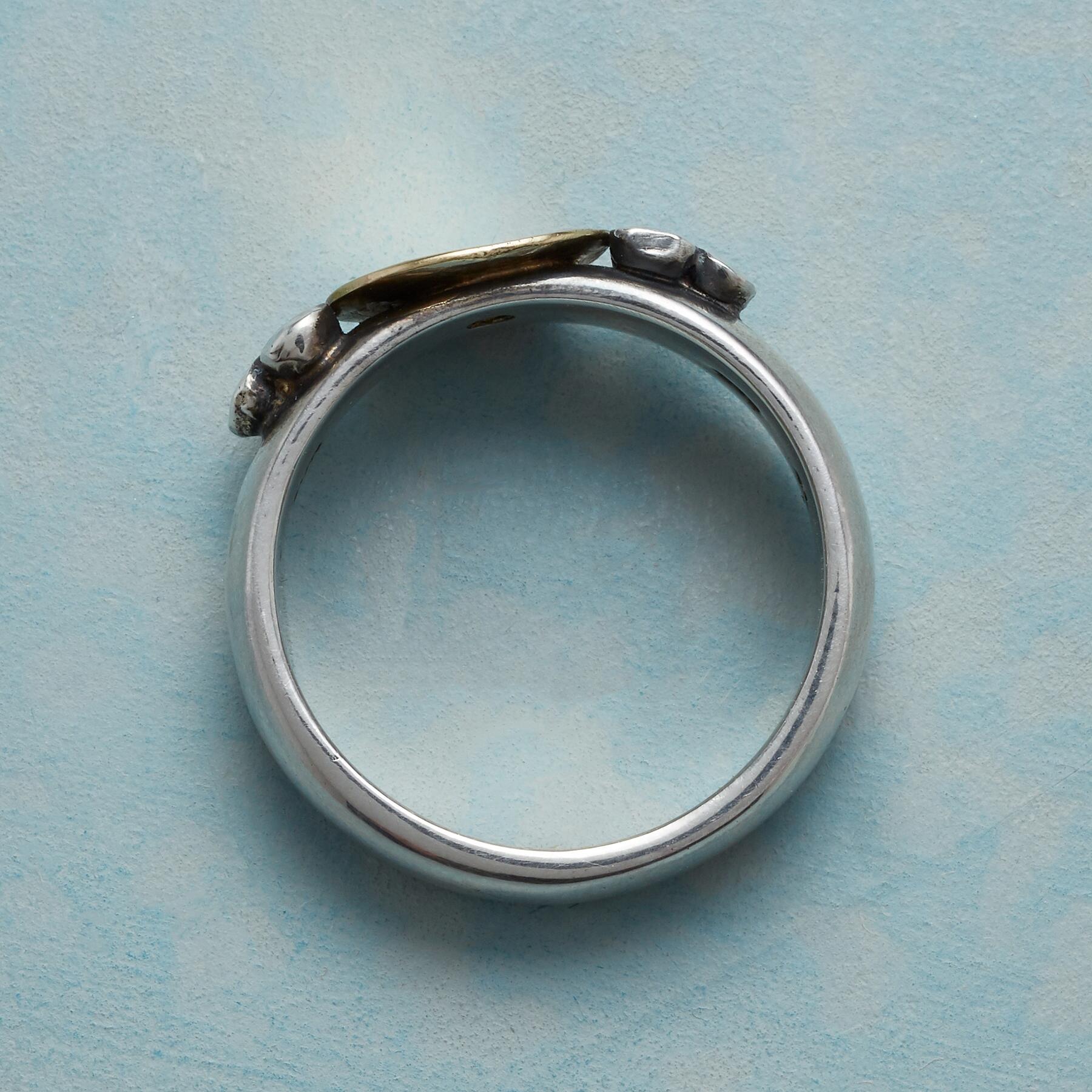 Golden Offering Ring - Sundance Living