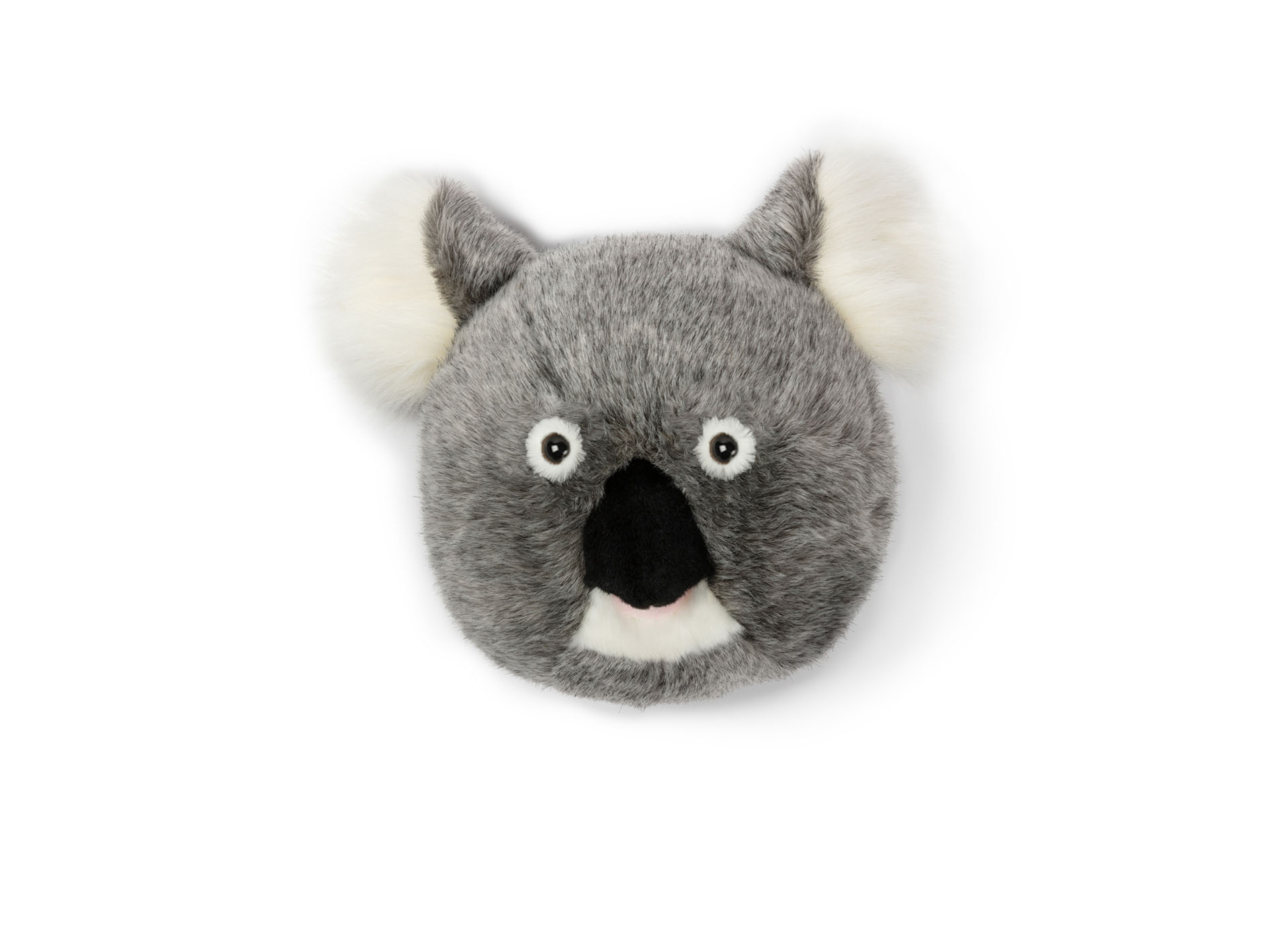 Dierenkop koala Noah