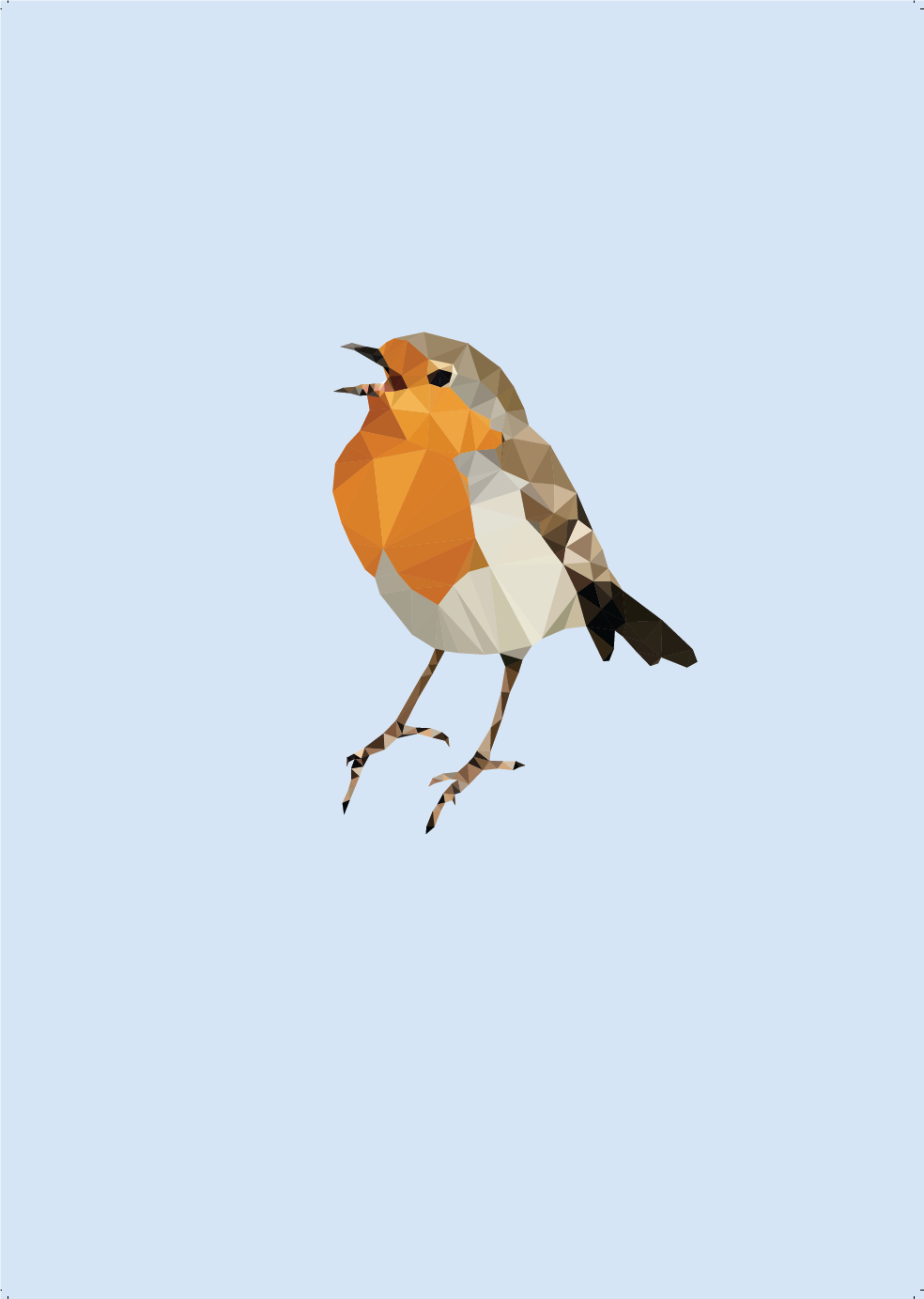 Poster Roodborstje 40 x 50 cm