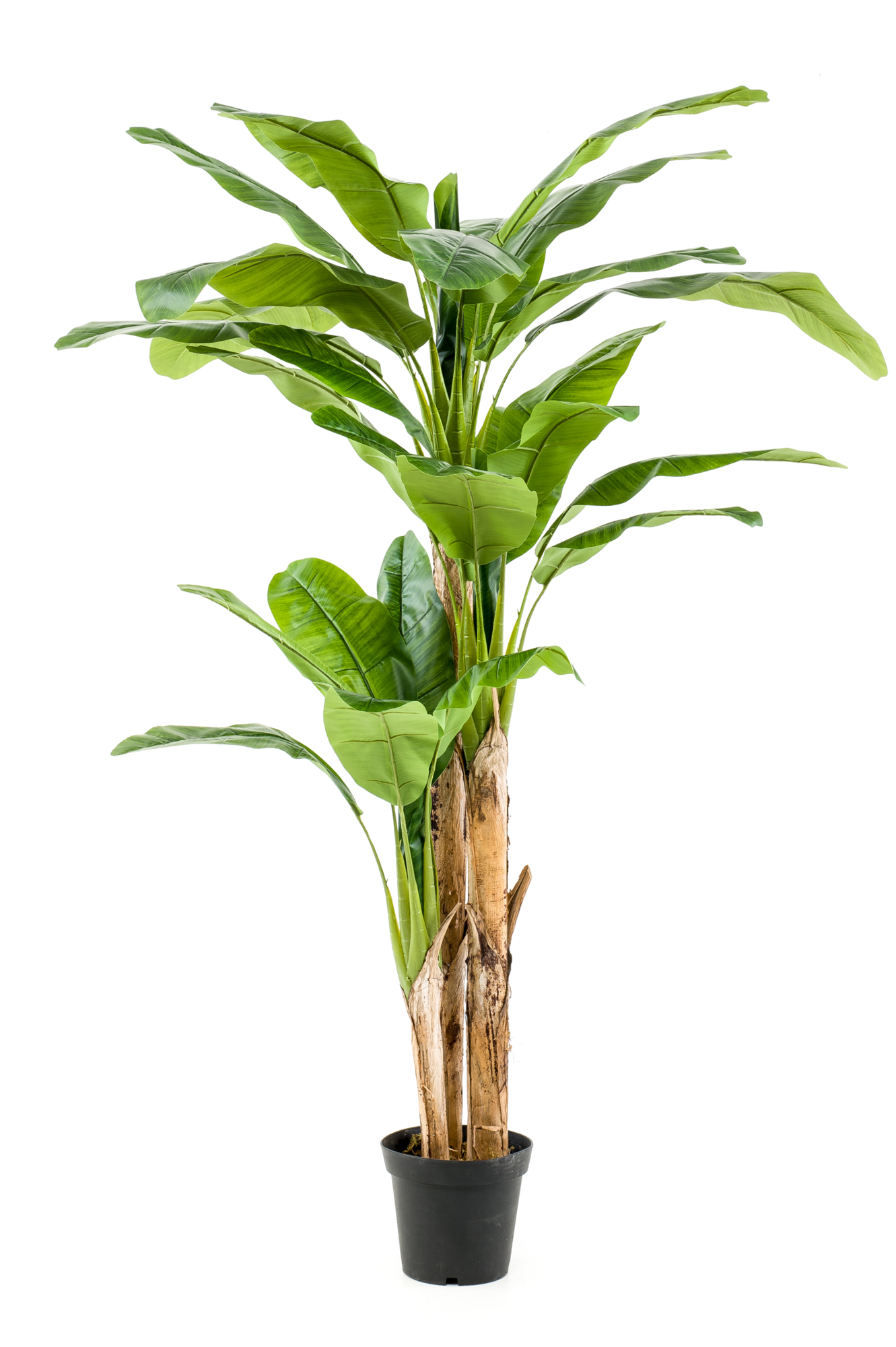Bananen kunstplant 210 cm