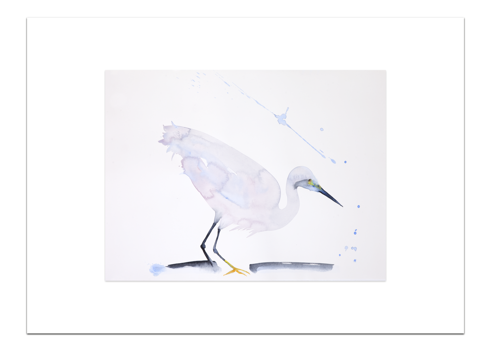 Poster Witte Reiger 30 x 40 cm