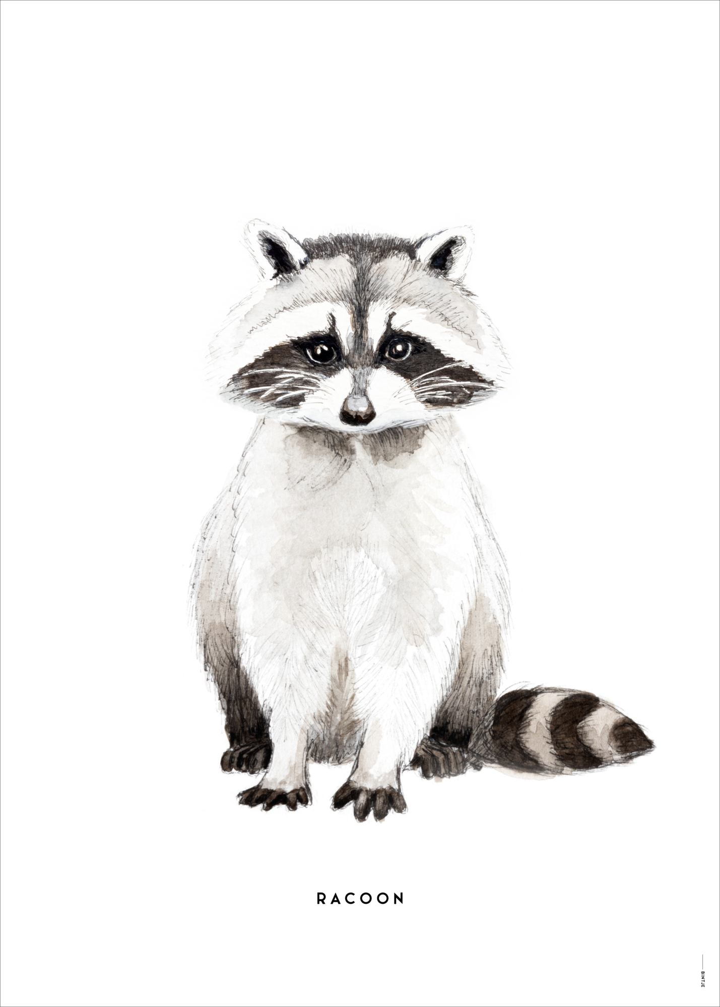 Poster Bintje wasbeer 50x70 cm