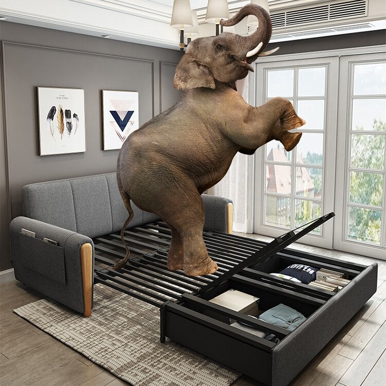 Multifunctional wooden folding sofa for home
