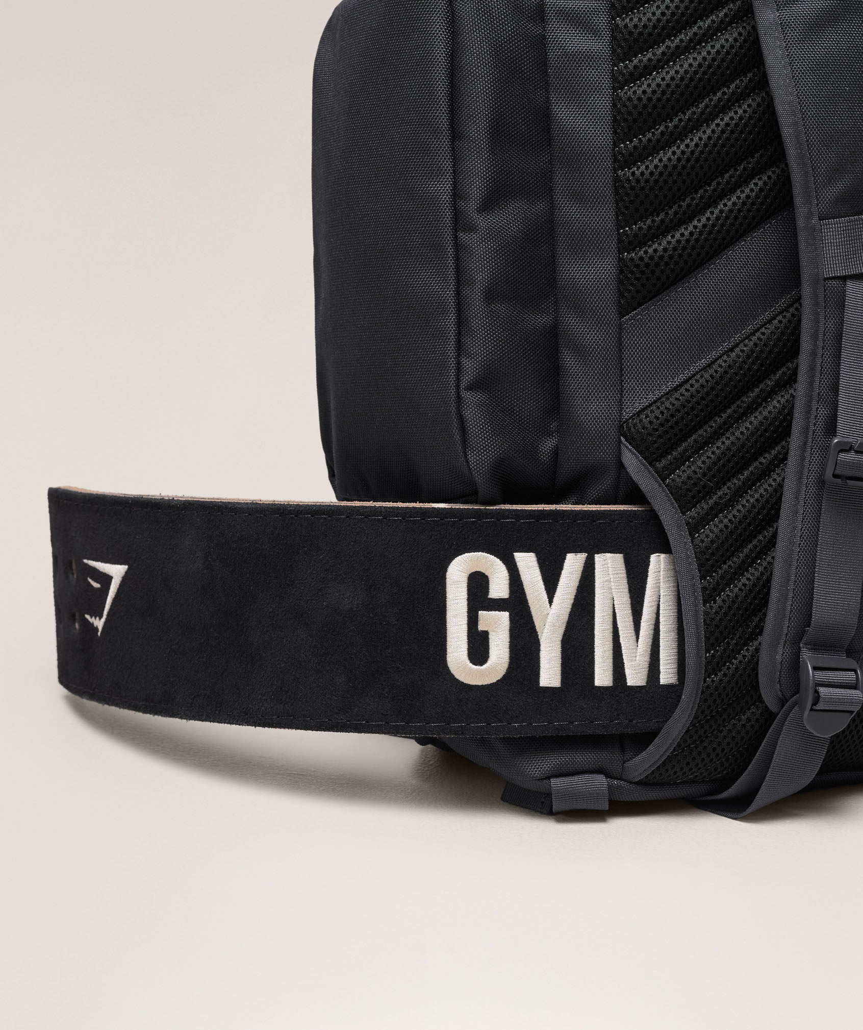 COACH Bulk Backpack
