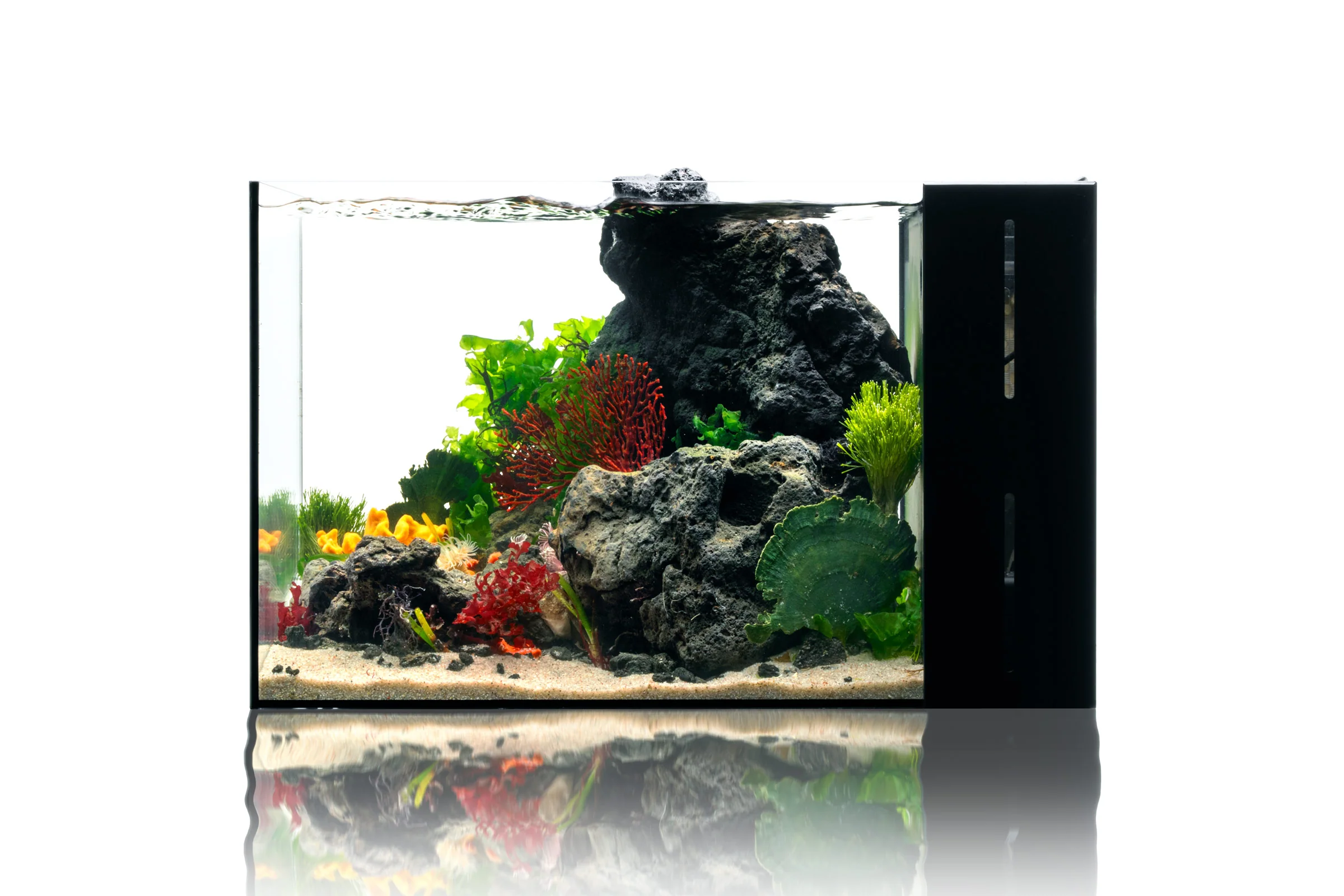 UNS Dual All-In-One Glass Aquarium Tank