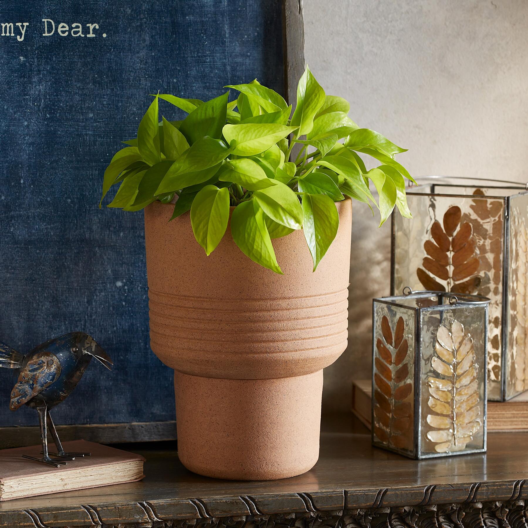 Local Roots Planter - Sundance Living