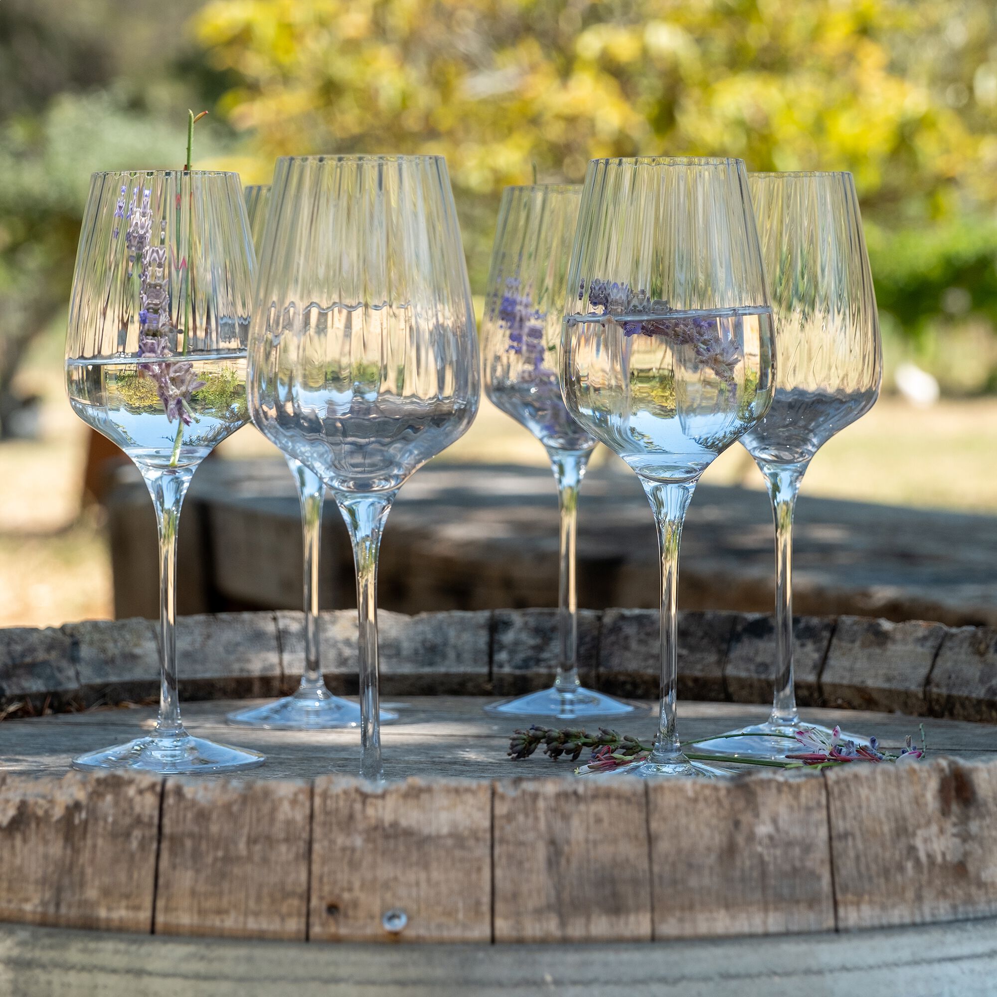 SYMETRIE - Coffret de 6 verres à pied tulipe en cristallin 45cl - transparent