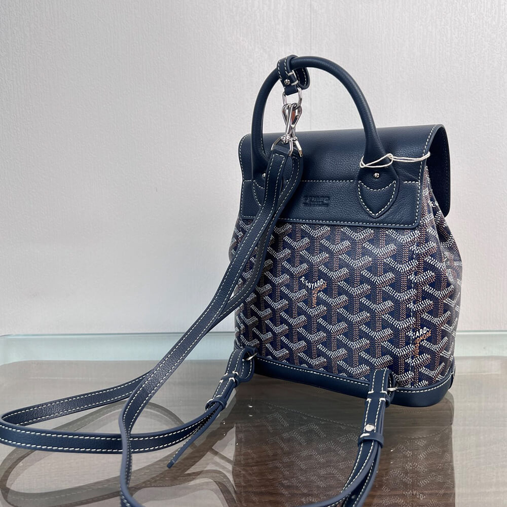 Goyard Alpin Mini Backpack - Top Club