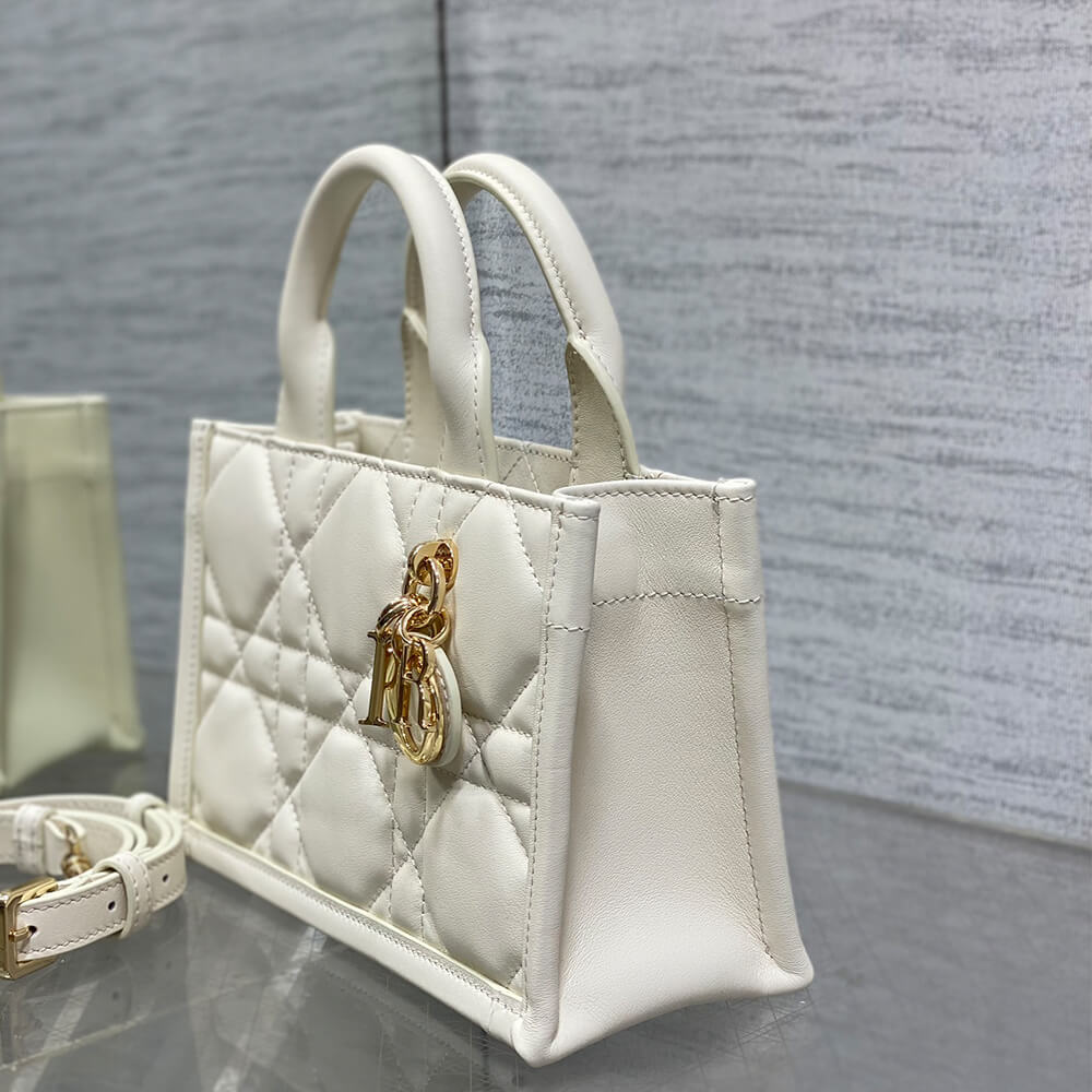Mini Dior Book Tote - Top Club