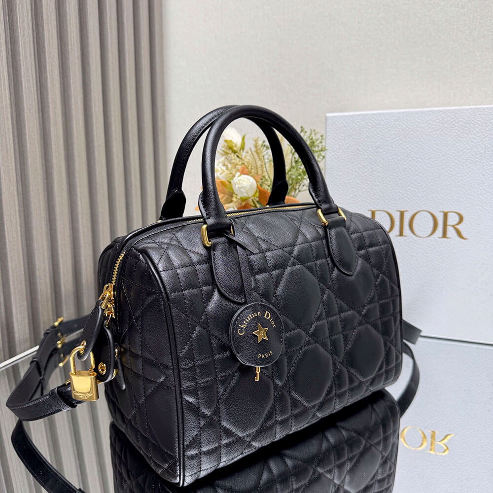 Dior Groove 25 Bag(high-end grade) - Top Club