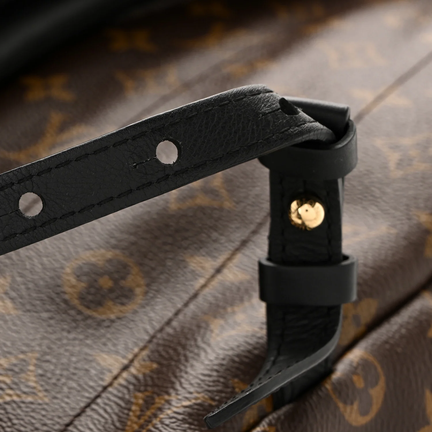 Monogram Palm Springs Backpack MM - Top Club