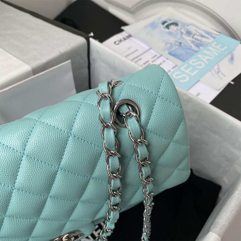 CHANEL CLASSIC FLAP HANDBAG(High-End Grade) - Top Club