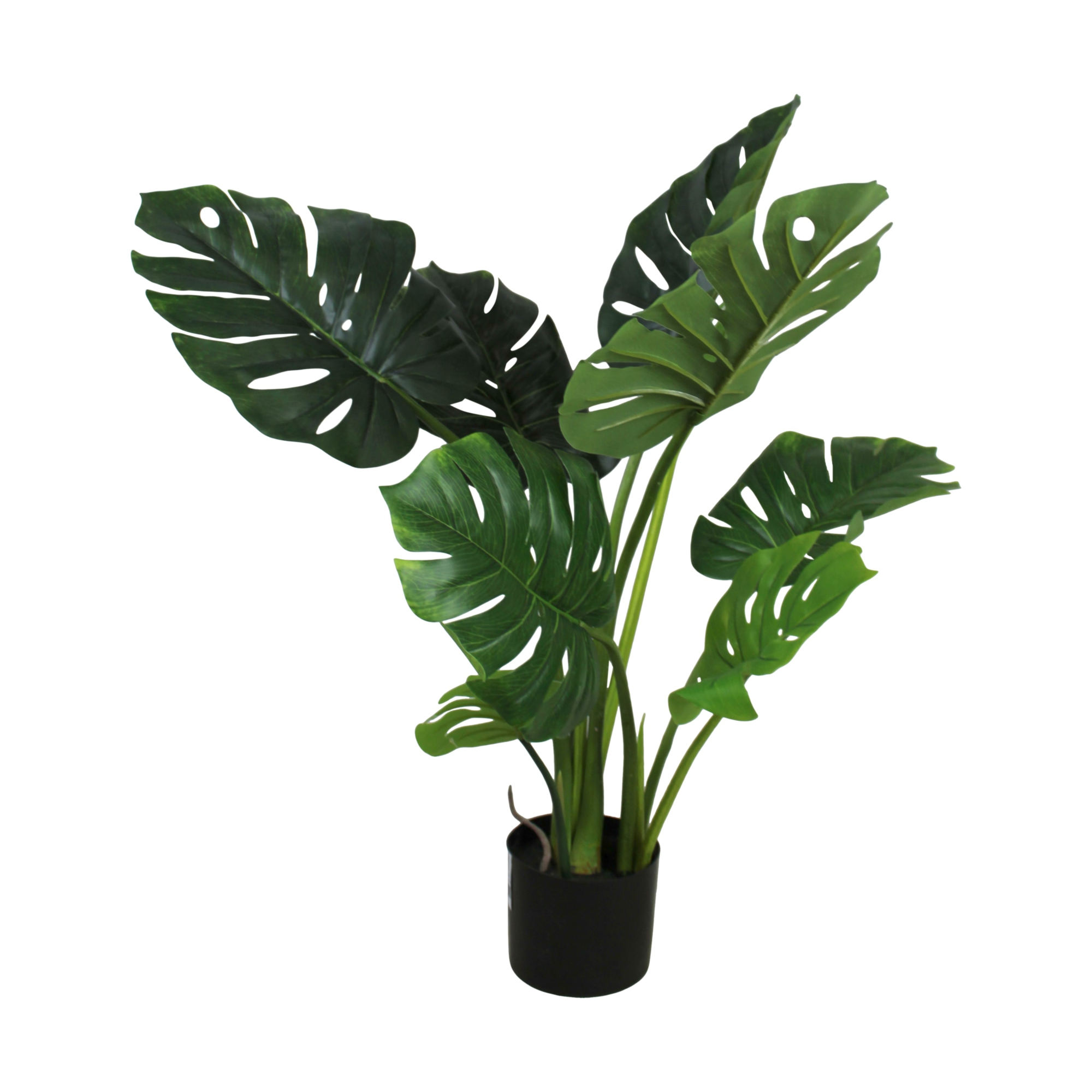 Plant kunst