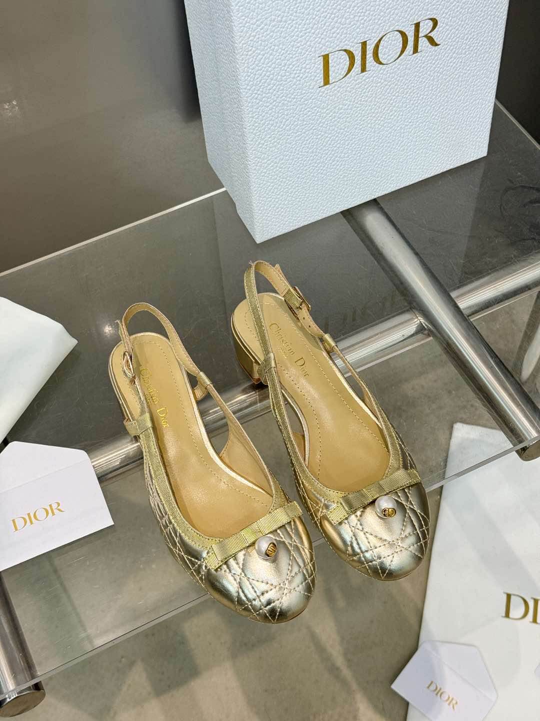 Dior Ballet Slingback Pump - Top Club