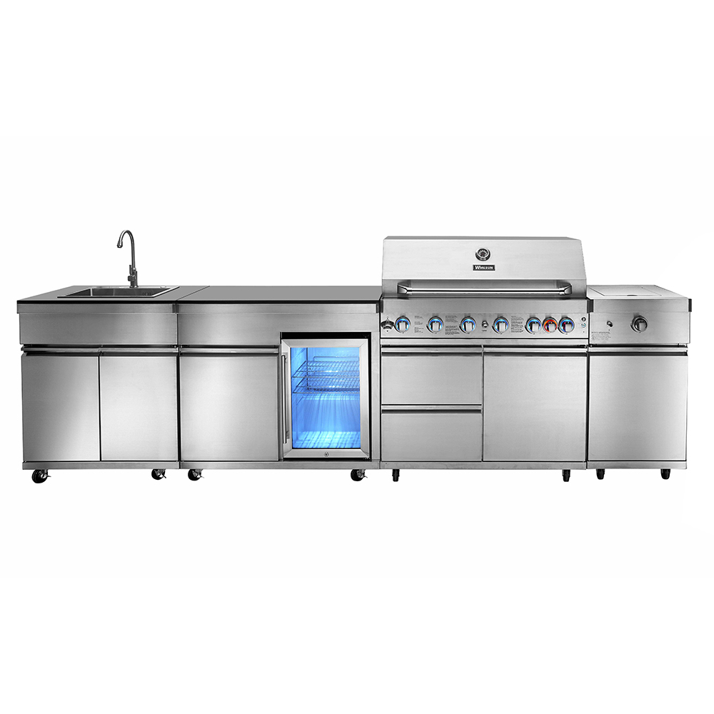 Premium Stainless Steel Gas BBQ Grill with 6+1