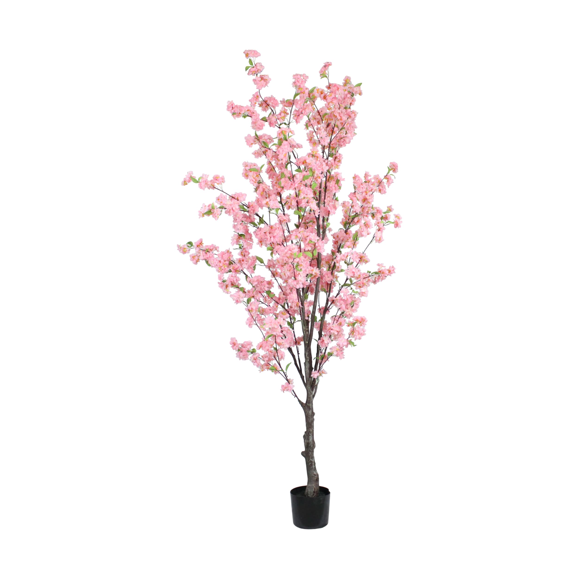 Blossom tree