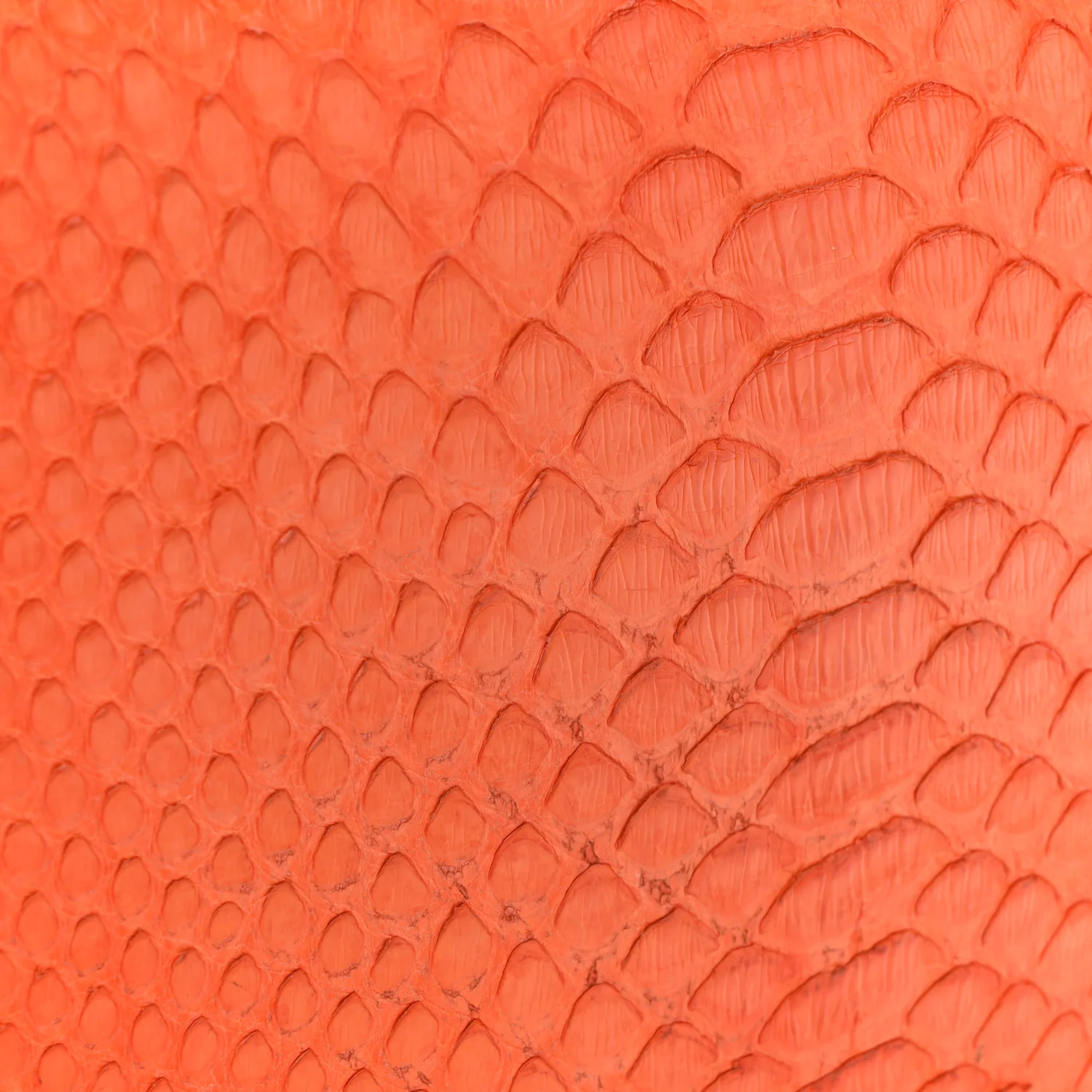 Snakeskin Medium Classic Box Flap Orange - Top Club